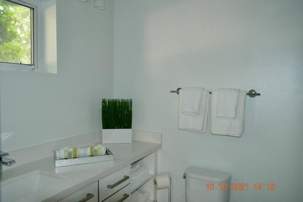 Across The Ocean Few Steps To Beach Contemporary Three Bedroom Townhouse Pompano Beach Zewnętrze zdjęcie